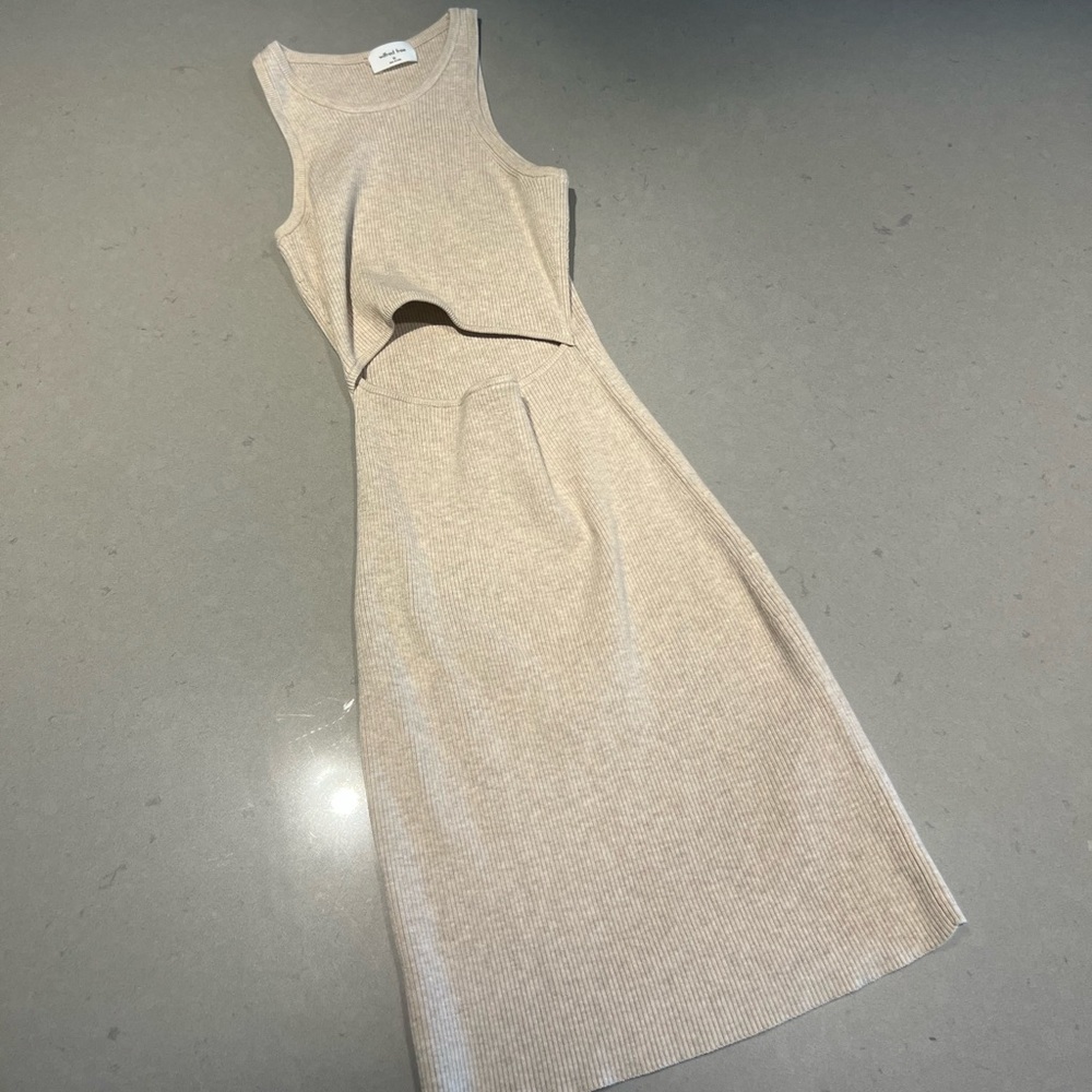 Wilfred Free - Aritzia - Dress